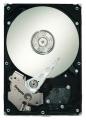 Жесткие диски - Seagate ST3750330NS