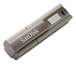 USB Flash drive - Sandisk Cruzer Professional 2Gb