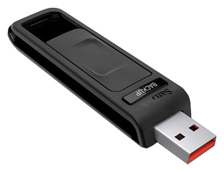 USB Flash drive - Sandisk Cruzer Ultra Backup 32Gb